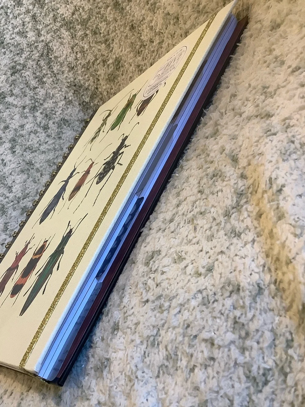James Burke Collection Colorful Bugs Five Subject Notebook NWT 9.25x11” 120 page